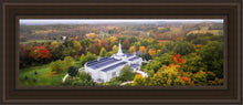 Load image into Gallery viewer, Palmyra and Sacred Grove Aerial