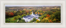 Load image into Gallery viewer, Palmyra and Sacred Grove Aerial