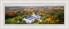 Load image into Gallery viewer, Palmyra and Sacred Grove Aerial