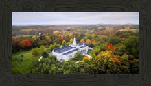 Load image into Gallery viewer, Palmyra and Sacred Grove Aerial
