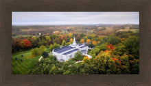 Load image into Gallery viewer, Palmyra and Sacred Grove Aerial