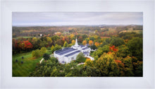 Load image into Gallery viewer, Palmyra and Sacred Grove Aerial