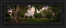 Load image into Gallery viewer, St. George Tree Of Life