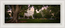Load image into Gallery viewer, St. George Tree Of Life