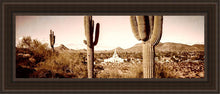 Load image into Gallery viewer, Phoenix Saguaro Cactus