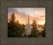 Load image into Gallery viewer, Portland High Glow