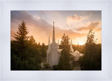 Load image into Gallery viewer, Portland High Glow