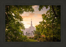 Load image into Gallery viewer, Reno Gardens