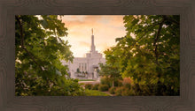 Load image into Gallery viewer, Reno Gardens