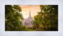 Load image into Gallery viewer, Reno Gardens