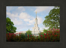 Load image into Gallery viewer, Sacramento Flowers
