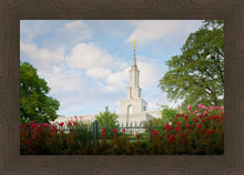 Load image into Gallery viewer, Sacramento Flowers