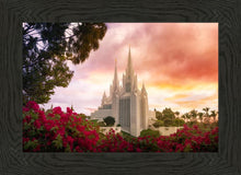 Load image into Gallery viewer, San Diego Flowers
