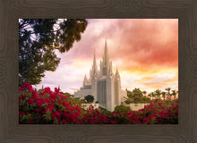 Load image into Gallery viewer, San Diego Flowers