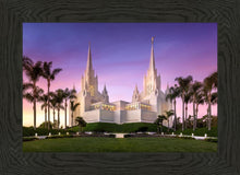 Load image into Gallery viewer, San Diego Lavender