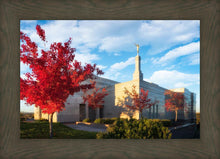 Load image into Gallery viewer, Snowflake Vivid Autumn