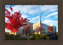 Load image into Gallery viewer, Snowflake Vivid Autumn