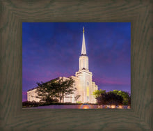 Load image into Gallery viewer, Spirit in St. Louis