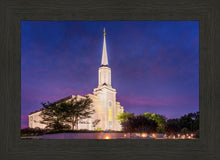 Load image into Gallery viewer, Spirit in St. Louis