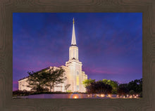 Load image into Gallery viewer, Spirit in St. Louis