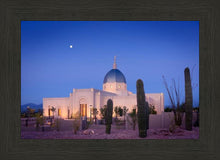 Load image into Gallery viewer, Tucson Cactus Morning