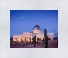 Load image into Gallery viewer, Tucson Cactus Morning