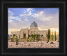 Load image into Gallery viewer, Tucson Deseret