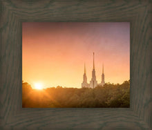 Load image into Gallery viewer, Washington DC Sunset Gold