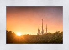 Load image into Gallery viewer, Washington DC Sunset Gold