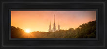 Load image into Gallery viewer, Washington DC Sunset Gold