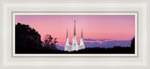 Load image into Gallery viewer, Washington DC Sunset Glow Panorama