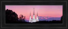 Load image into Gallery viewer, Washington DC Sunset Glow Panorama