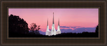 Load image into Gallery viewer, Washington DC Sunset Glow Panorama