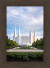 Load image into Gallery viewer, Washington DC Blue