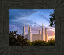 Load image into Gallery viewer, Washington DC Last Sunset