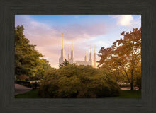 Load image into Gallery viewer, Washington DC Sunset Panorama
