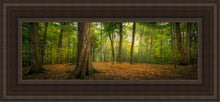 Load image into Gallery viewer, Oh How Lovely was the Morning