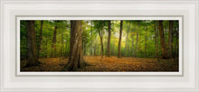 Load image into Gallery viewer, Oh How Lovely was the Morning
