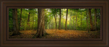 Load image into Gallery viewer, Oh How Lovely was the Morning