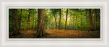 Load image into Gallery viewer, Oh How Lovely was the Morning