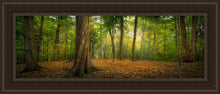 Load image into Gallery viewer, Oh How Lovely was the Morning