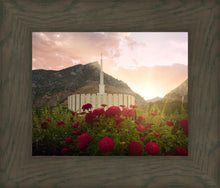 Load image into Gallery viewer, Provo Second Coming