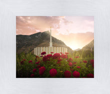 Load image into Gallery viewer, Provo Second Coming