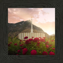 Load image into Gallery viewer, Provo Second Coming
