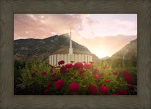Load image into Gallery viewer, Provo Second Coming
