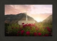Load image into Gallery viewer, Provo Second Coming