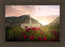 Load image into Gallery viewer, Provo Second Coming