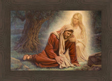 Load image into Gallery viewer, Heavenly Mother