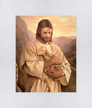 Load image into Gallery viewer, Lost Lamb