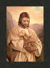 Load image into Gallery viewer, Lost Lamb